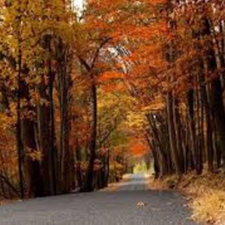 Small Town Hideaway Wyalusing Luaran gambar