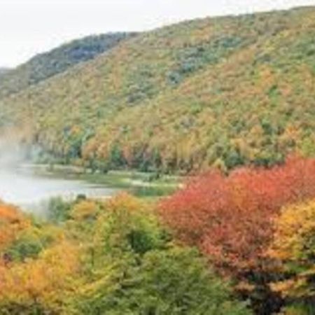 Small Town Hideaway Wyalusing Luaran gambar