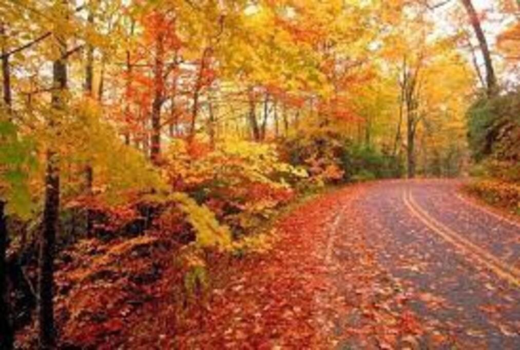 Small Town Hideaway Wyalusing Luaran gambar