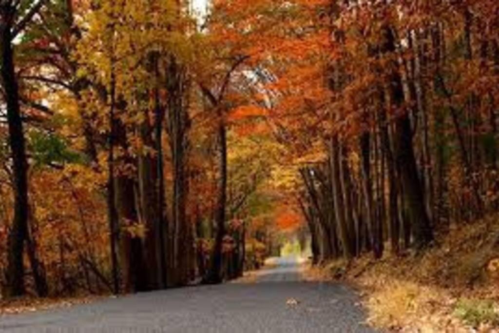 Small Town Hideaway Wyalusing Luaran gambar
