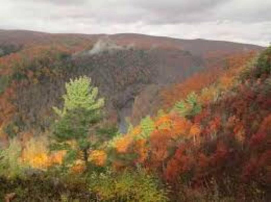 Small Town Hideaway Wyalusing Luaran gambar